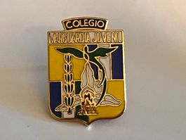 1 Pin Colegio Vanguardia Juvenil