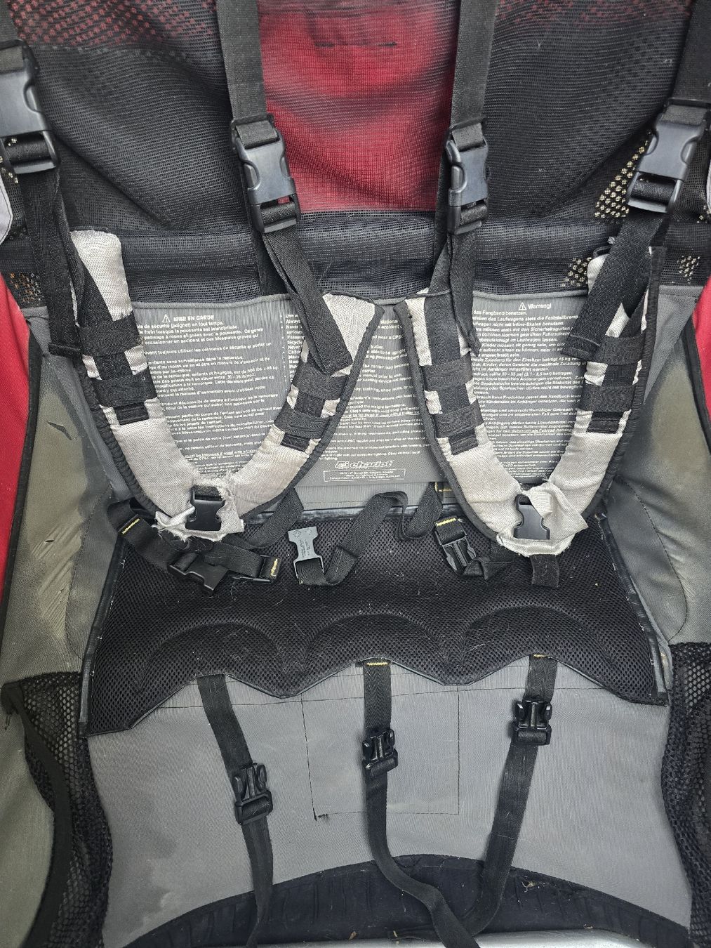 Thule Rimorchi: Veloanhänger Chariot Cougar 2  – Usato da Dübendorf venduto da jep76 3