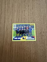 Panini FIFA World Cup 2026, BIH 13