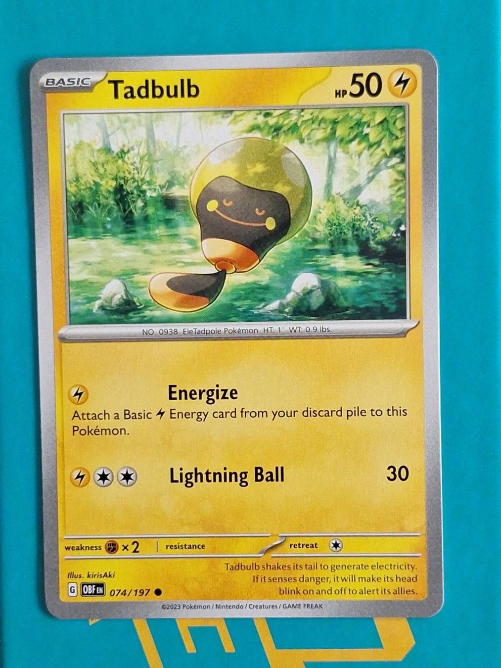 Pokémon Carte collezionabili: Tadbulb - Pokemon Obsidian Flames – Usato da Altstätten SG venduto da GGsGameshop