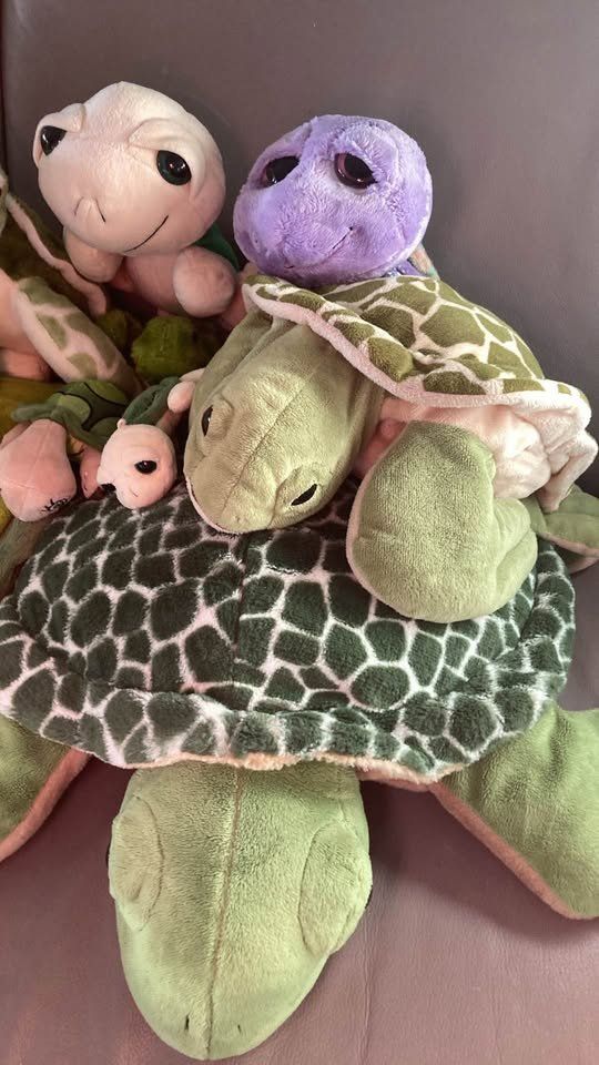 Jouets: Grosse Sammlung von Plüsch Schildkröten – D'occasion à Rudolfstetten par Stellina1975 1