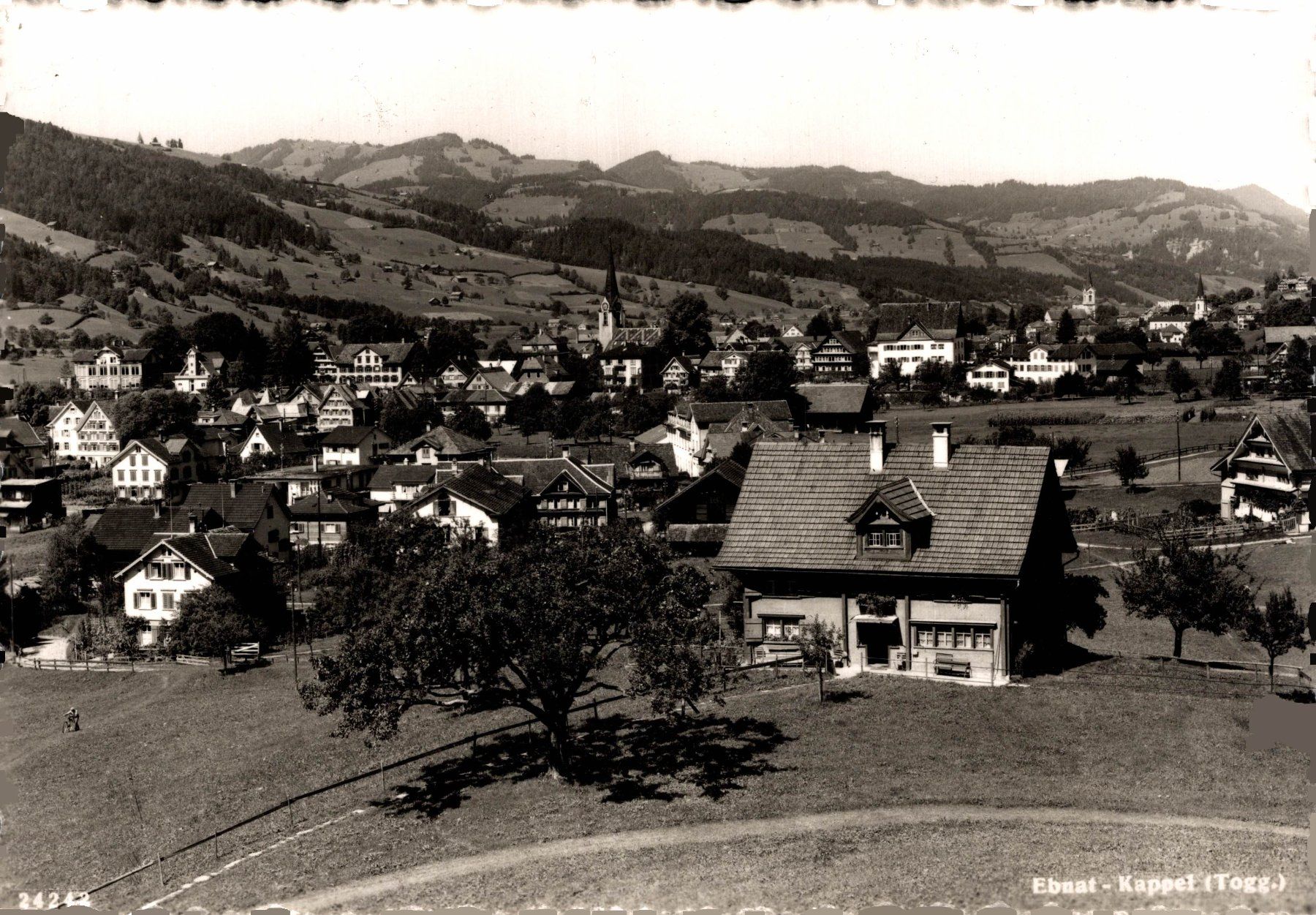 Cartoline postali: Ebnat-Kappel – Usato da Bronschhofen venduto da Astore
