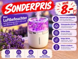 Mini Luftbefeuchter mit LED Licht - NEU! Ausverkauf!!!!!!!!!