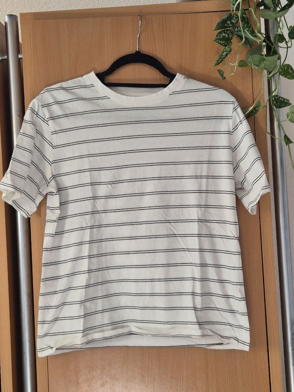 T-shirts: Tshirt's – Neuf (Voir description) à Gondiswil par jst_z5bz 2