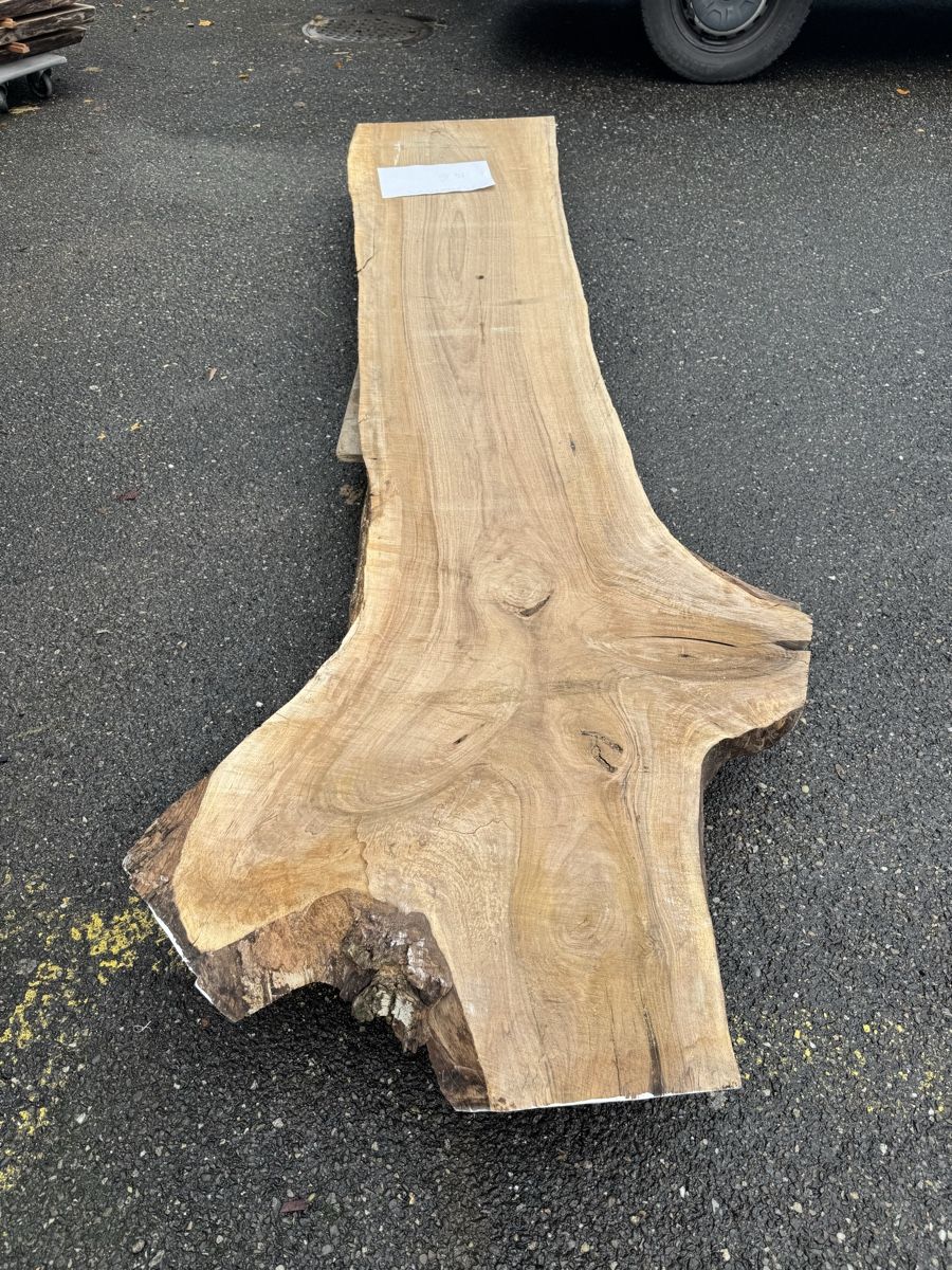 Articoli in legno: Nussbaum Klotzbrett 275  cm lang! – Usato da Gränichen venduto da onkel_xxl 5