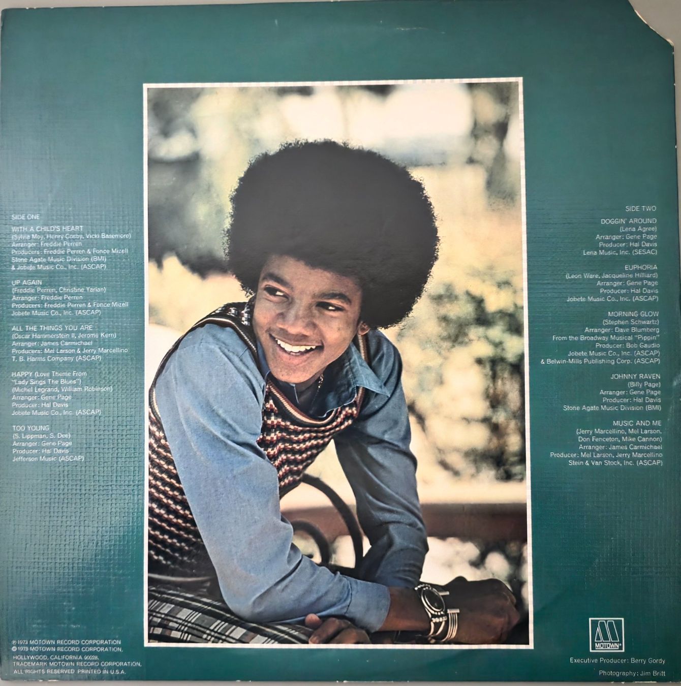 Dischi in vinile: Michael Jackson LP – Music & Me – Usato da Root venduto da atelier22 1