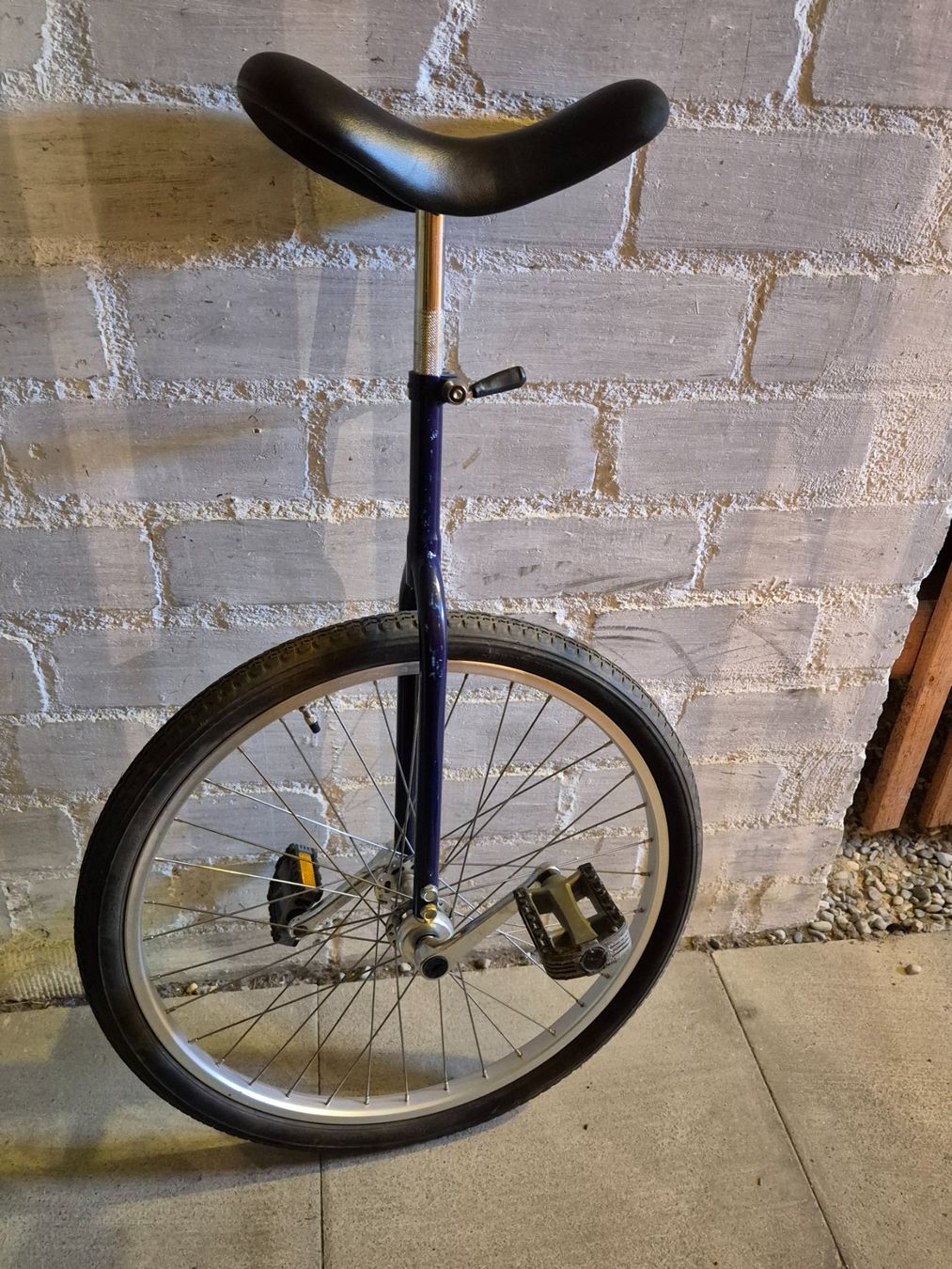Biciclette: Einrad – Usato da Thun venduto da looking-4