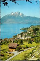 WEGGIS Hertenstein mit Pilatus