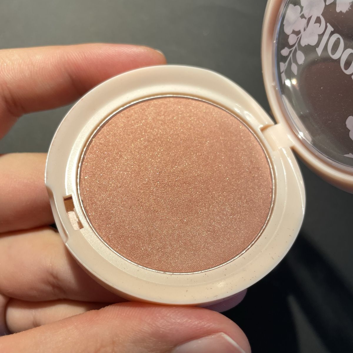 Make-up: Wet n Wild Blush & Lipstick Set – Gebraucht aus Bellach von Dreamer2501 2