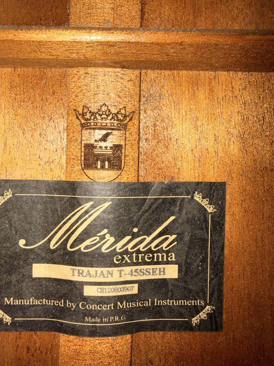 Strumenti musicali: Merida Electric Classic – Nuovo (secondo la descrizione) da Versoix venduto da yal_nm9g 4