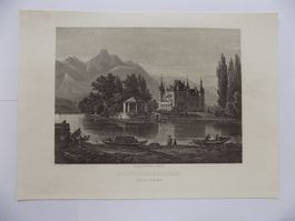 Château de Schadau Schloss Thun