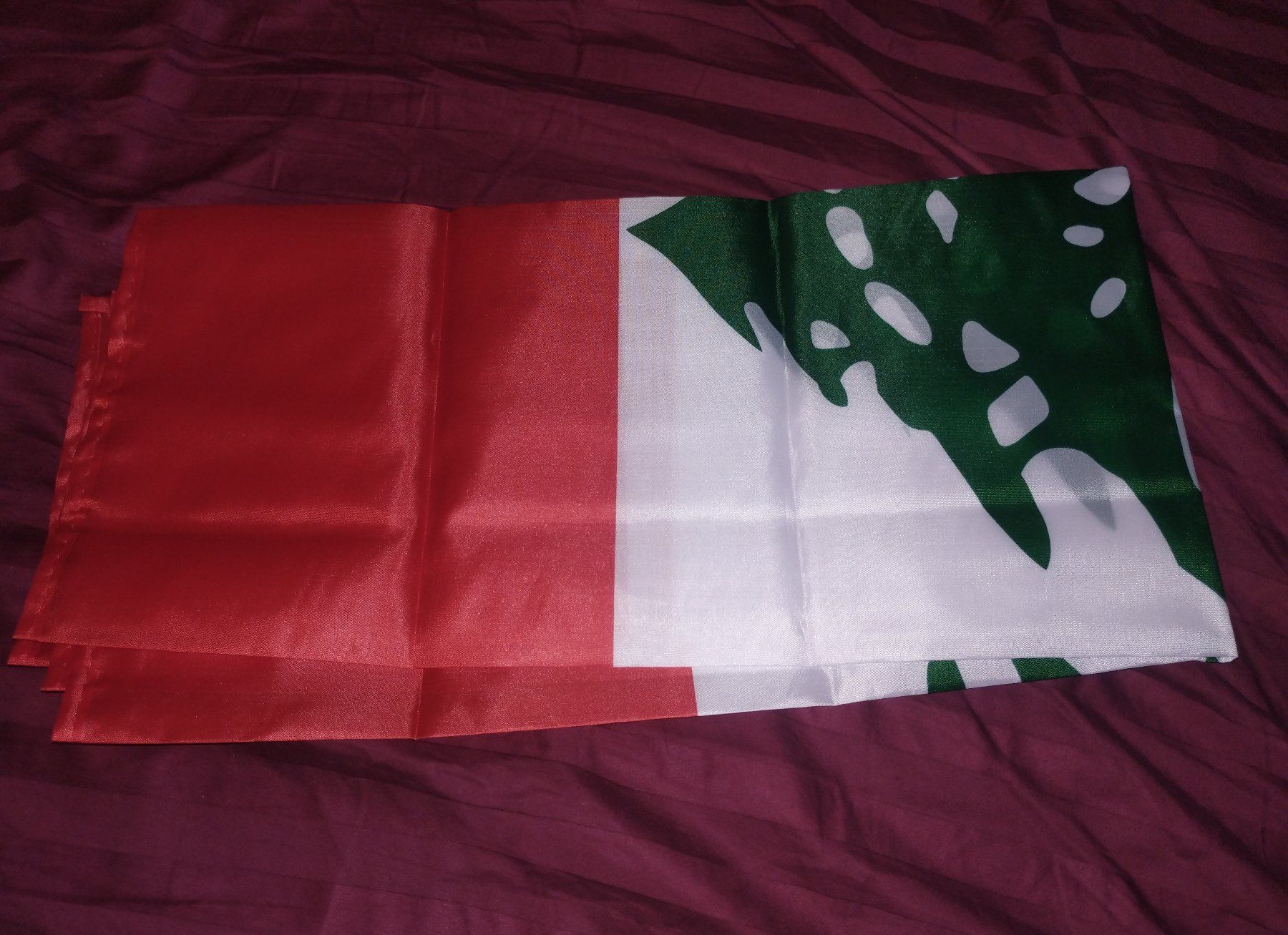 Bandiere: 2x Flagge des Libanon - Drapeau du Liban – Nuovo e nell'imballaggio originale da Bussigny venduto da NATURALO 3