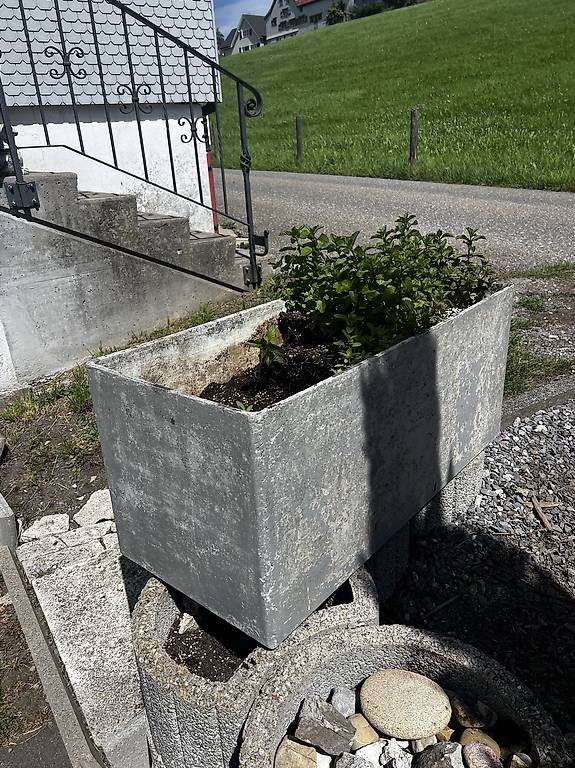 Blumentöpfe: Eternittopf 1m – Gebraucht aus Schönengrund von Oldbutgold93