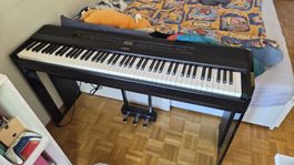 Yamaha P-515 Piano Numérique Noir