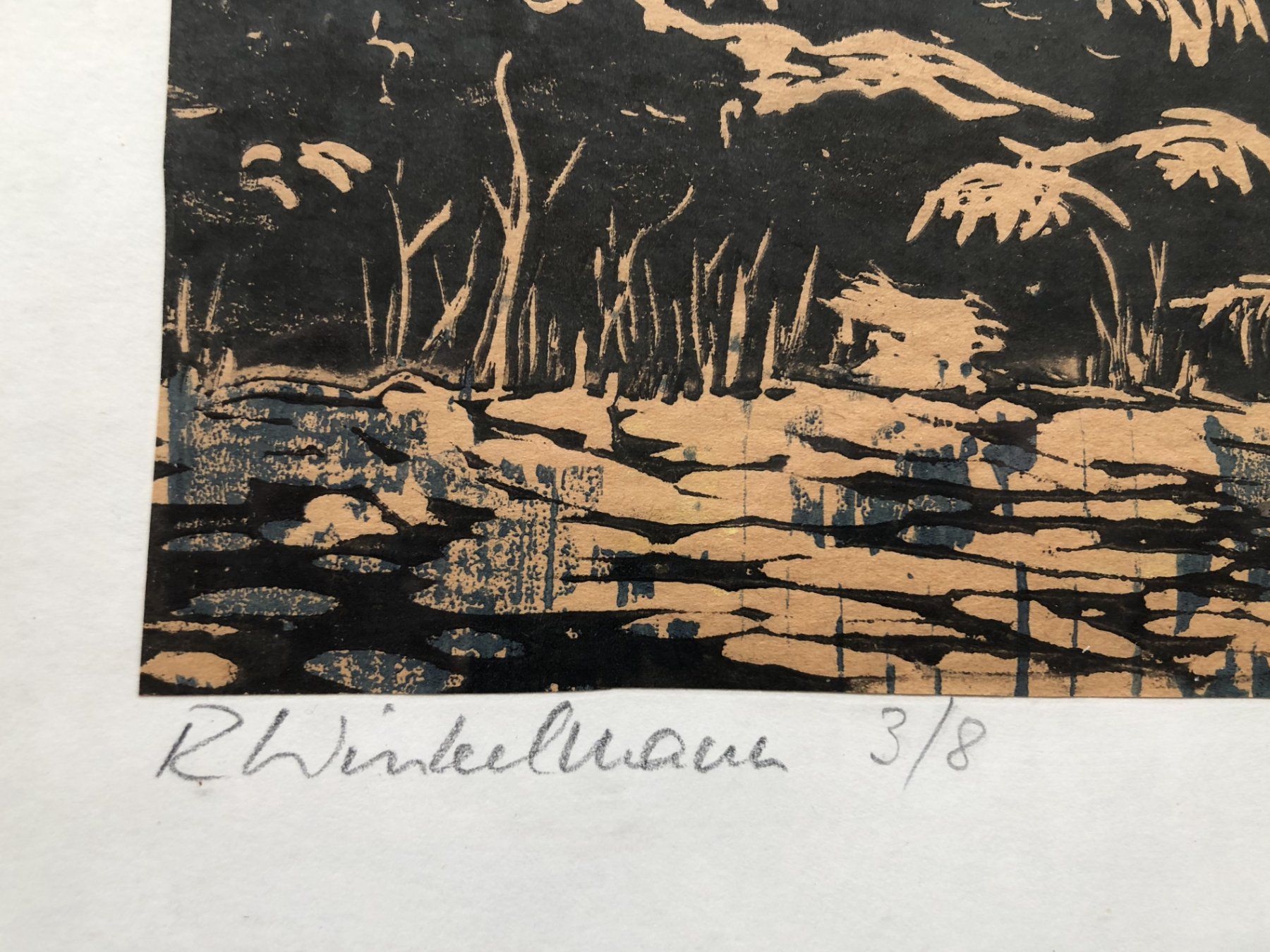 Xilografie: R.Winkelmann - Farbholzschnitt – Usato da Schaffhausen venduto da durruti 3