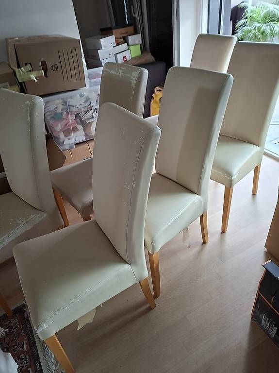 Conforama Chaises: Lot de 6 chaises  30 CHF – D'occasion à Bellevue par tor_fk7c