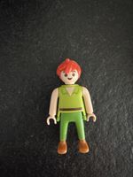 Disney Playmobil Peter Pan
