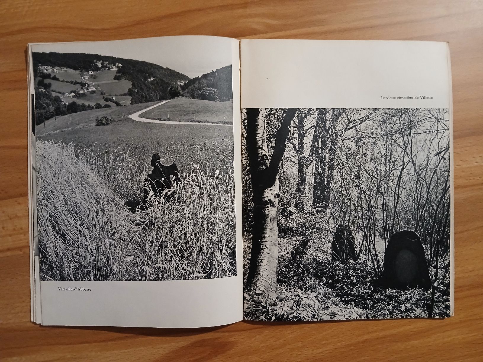 Libri: Trésors de mon pays - Sainte-Croix – Usato da Le Sentier venduto da arc_2thy 4