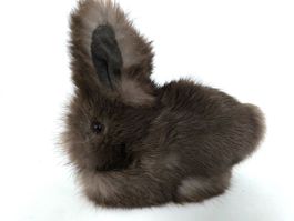 Plüschtier Hase aus Kaninchenfell