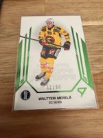 Sportzoo Merelä /60 Sc Bern Playoffs 24/25