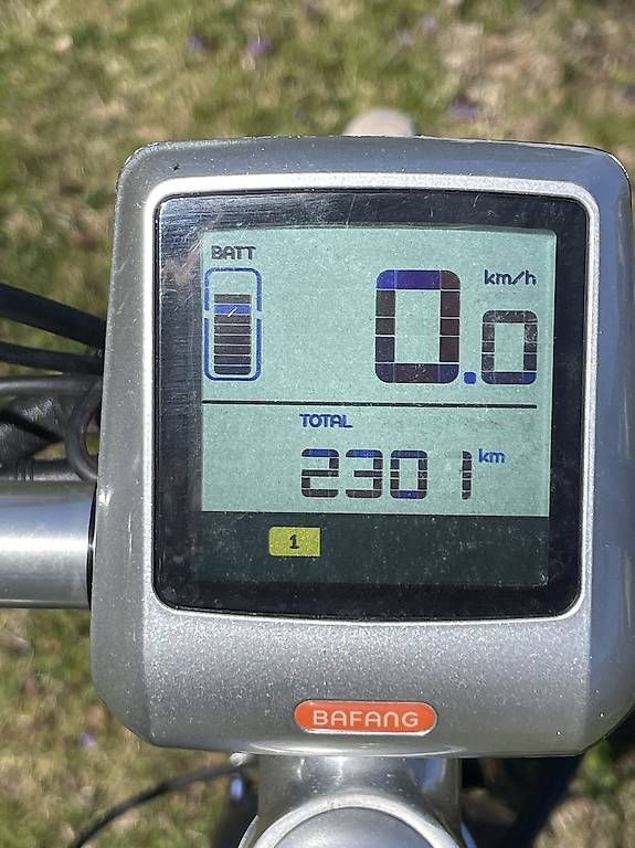 Ego Movement Biciclette: Ego Movement E-Bike – Usato da Einigen venduto da Julchen8 1