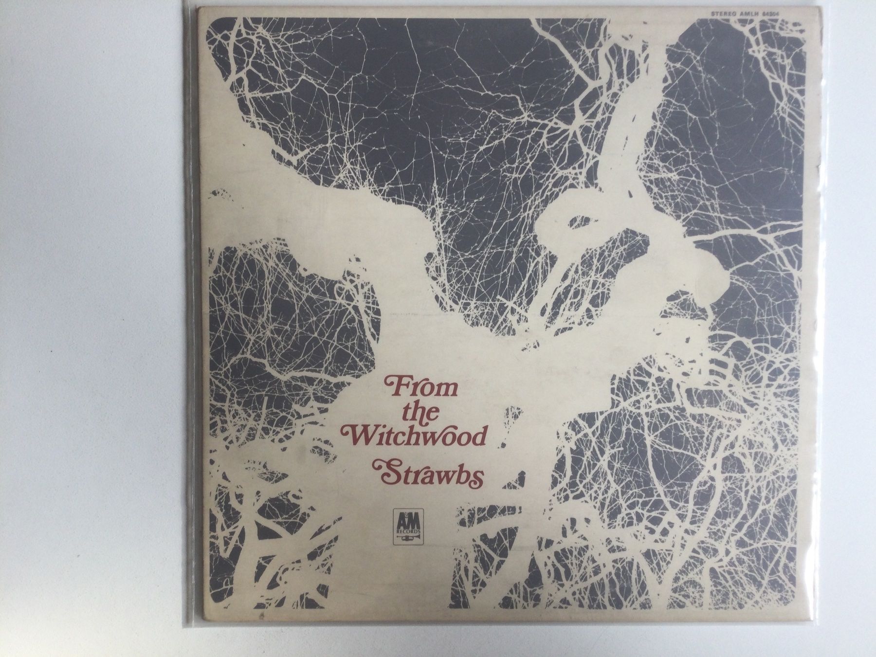 Dischi in vinile: Strawbs LP - From The Witchwood – Usato da Gutenswil venduto da Hamzian
