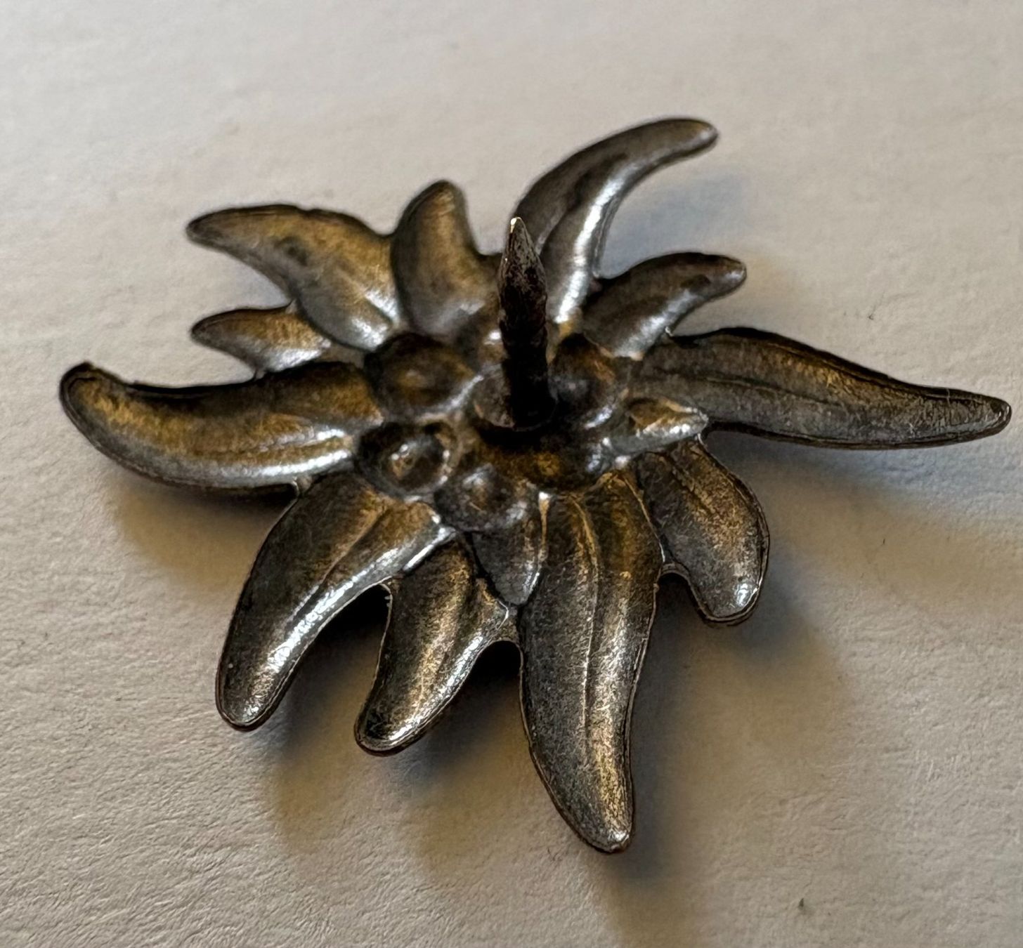 Plaketten & Abzeichen: PIN EDELWEISS – Gebraucht aus Ostermundigen von crazy-horse-1840 1