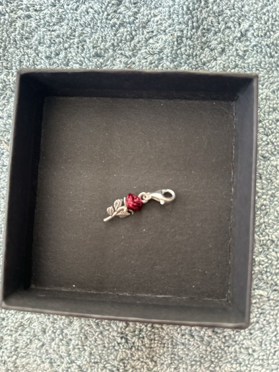 Thomas Sabo Ciondoli: Thomas Sabo Charm Rose neu – Nuovo (secondo la descrizione) da Wohlen b. Bern venduto da Honeypie