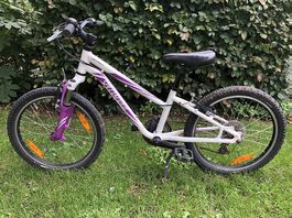 Specialized Hotrock 20"