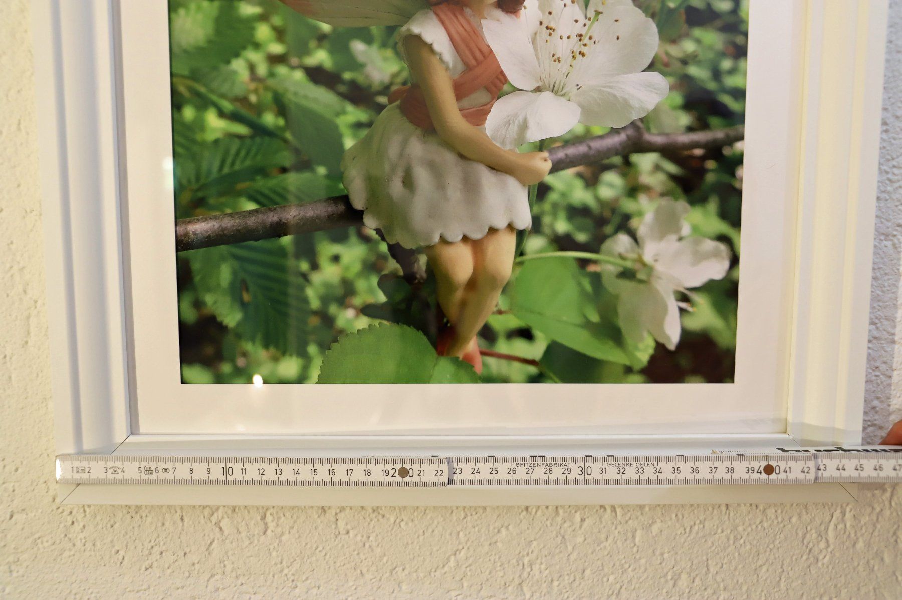 Posters & Illustrations: Elfenbild Wilde Kirsche (Fotobild mit Rahmen) – Neuf (Voir description) à Volketswil par greifensee11511 2