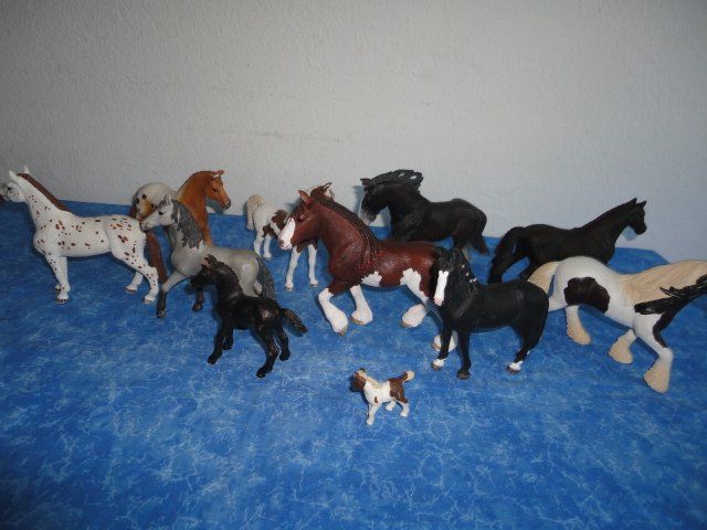 Schleich Spielzeuge: SCHLEICH PFERDE 11X – Neu (gemäss Beschreibung) aus Teufen AR von Donschabl 7
