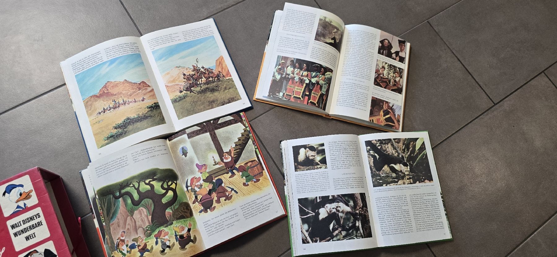 Libri: Walt Disney Wunderbare Welt Buchbox – Usato da Egerkingen venduto da bea_rxm7 5