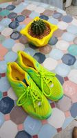 Laufschuhe gr.38