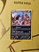 XY - Malamar
