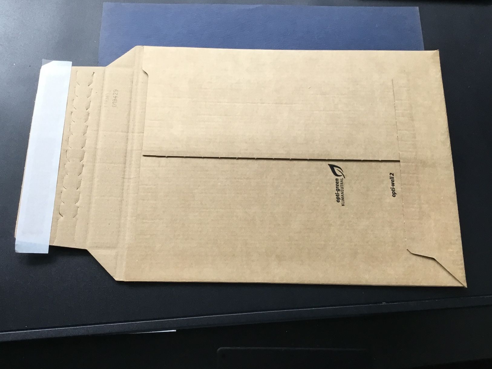 Buste & buste per spedizione: 100 Versandtasche  21x29 cm. – Nuovo e nell'imballaggio originale da St. Margrethen SG venduto da alfapeugeot10 1