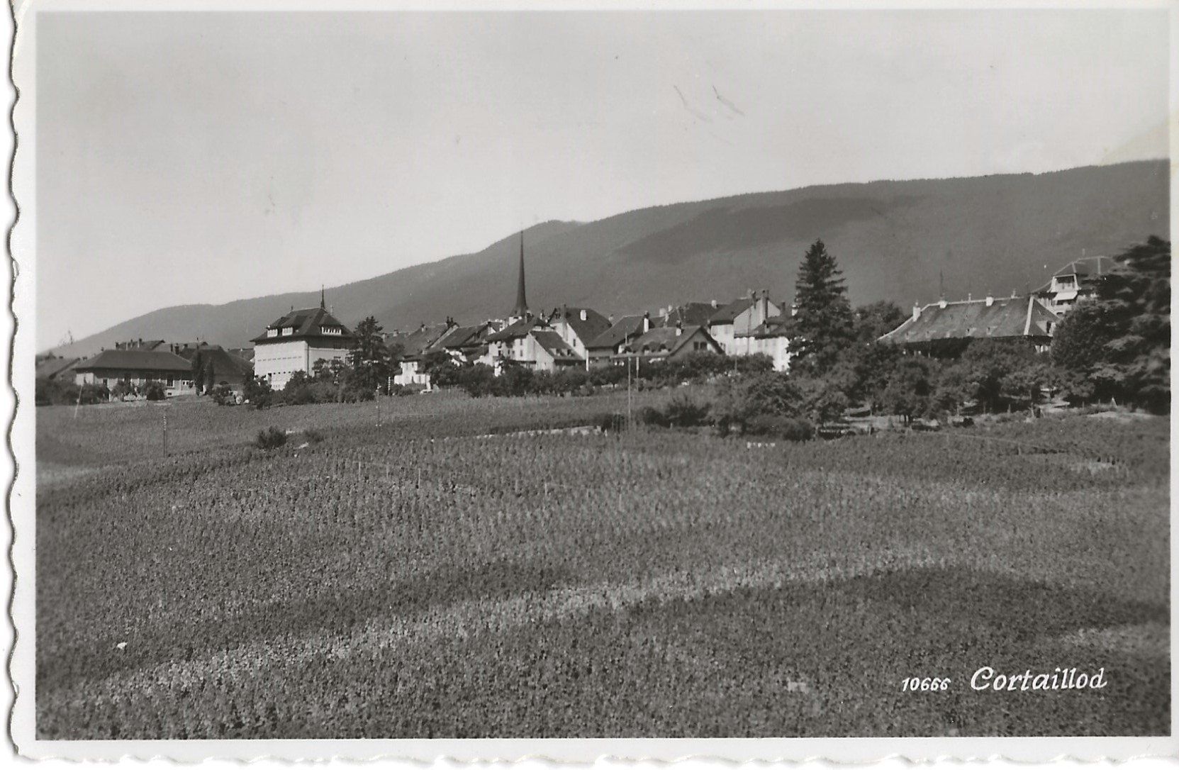 Cartoline postali: Cortaillod NE, 1953 – Usato da Frauenfeld venduto da Merk52