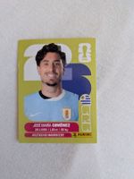 Panini Bild URU 5