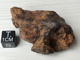113gr TWANNBERG METEORIT AUS DER SCHWEIZ, DIREKT VOM FINDER