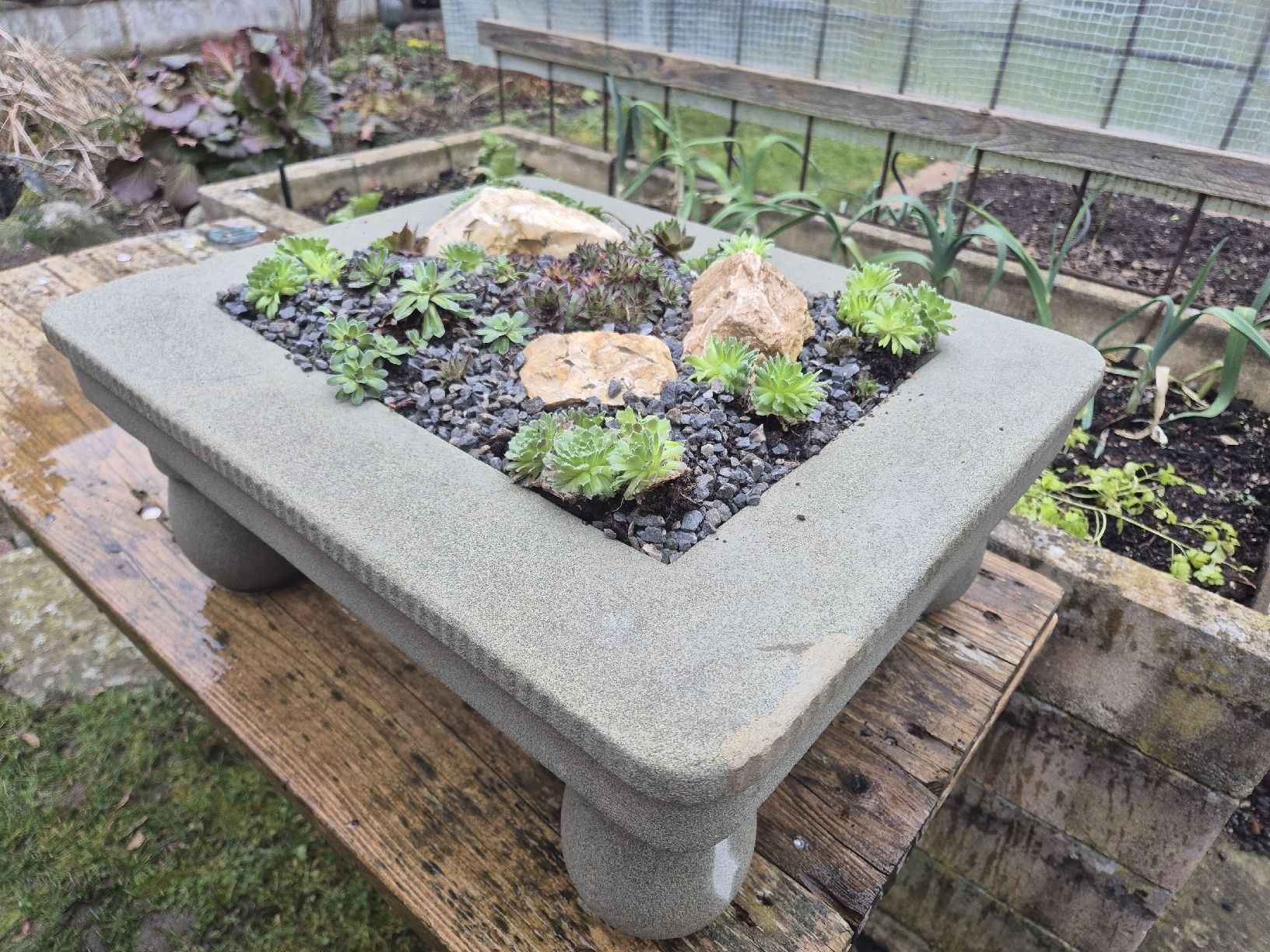 Pots de fleurs: Pflanzschale mit Hauswurz – Neuf (Voir description) à Ehrendingen par Amigo5 1