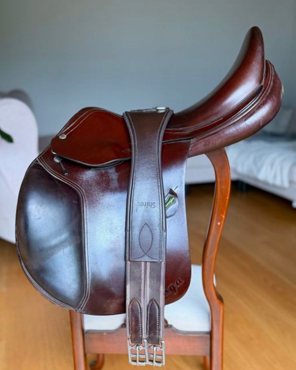Selle & Accessori: Amerigo Vega Dressursattel – Usato da Hindelbank venduto da mbcar
