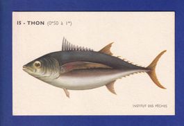 Poisson - THON