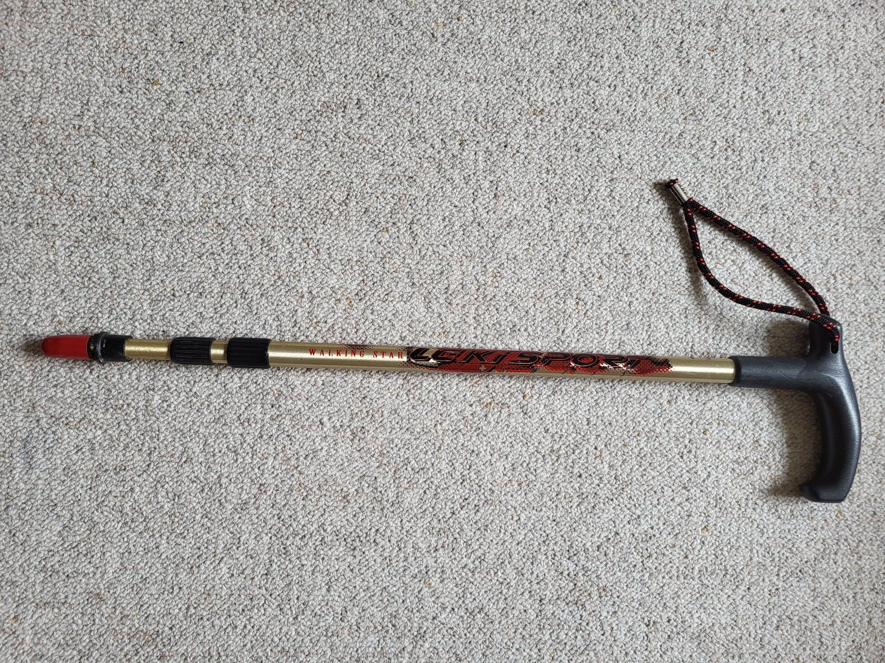 Kletterausrüstungen: 2x Wanderstöcke (hiking sticks) – Gebraucht aus Wettingen von