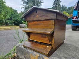 Bienenbeute Dadant Blatt