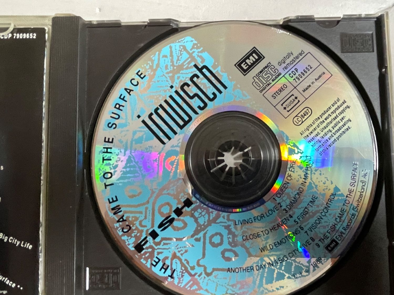CD: Irrwisch - The Fish Came To The Surface - AOR-Top – Usato da Muri b. Bern venduto da AdidasCollector 2