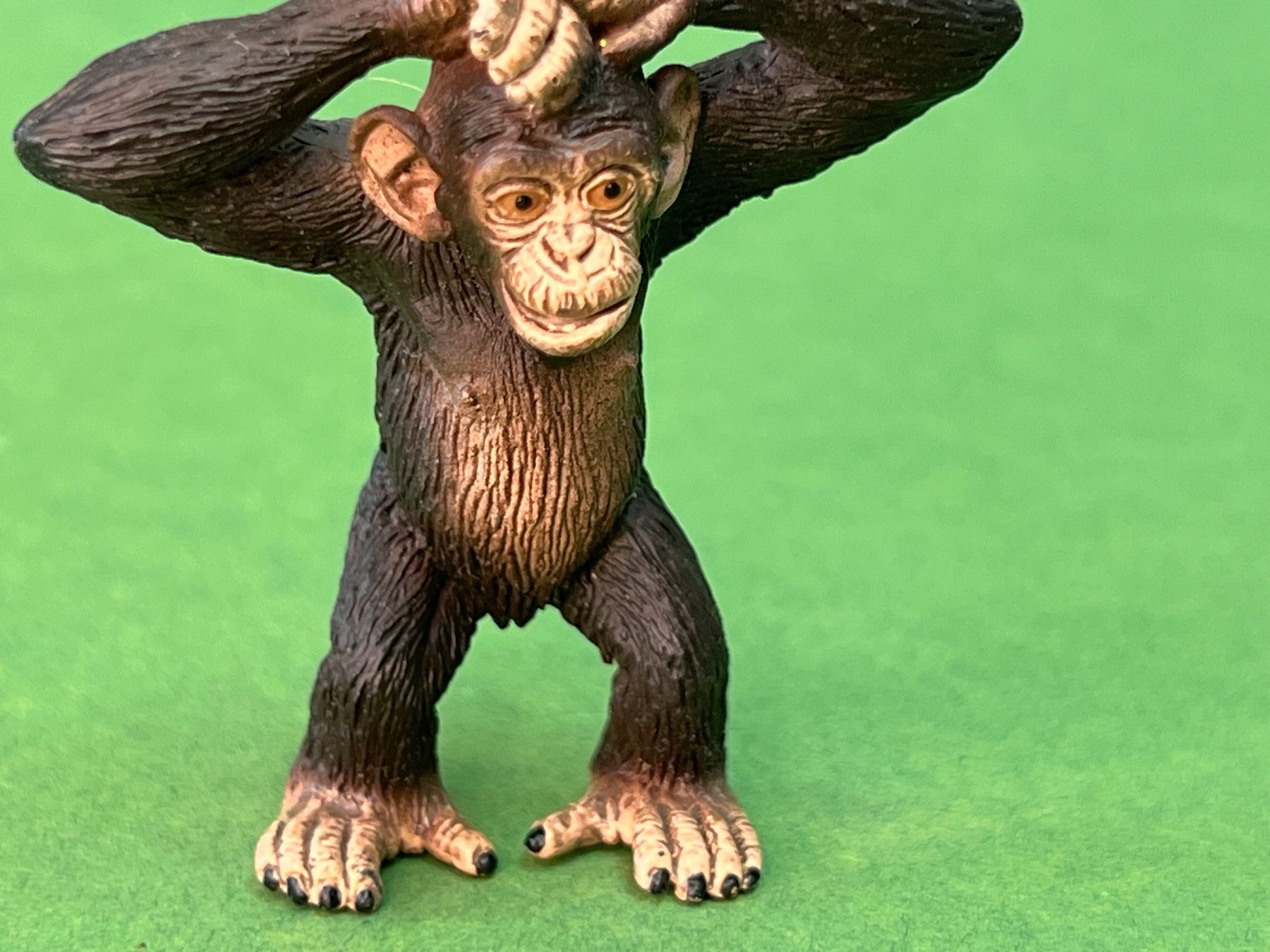 Schleich Statuette: Schleich 14680 Schimpansen-Junges Affe Schimpanse – Nuovo (secondo la descrizione) da Ennetbaden venduto da mapa05 5