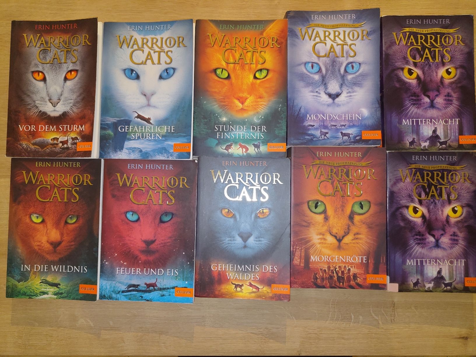 Libri: Warrior Cats Buch Erin Hunter – Usato da Reutlingen venduto da nev_hcq6 6