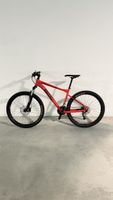 BMC Mountainbike - Top Zustand