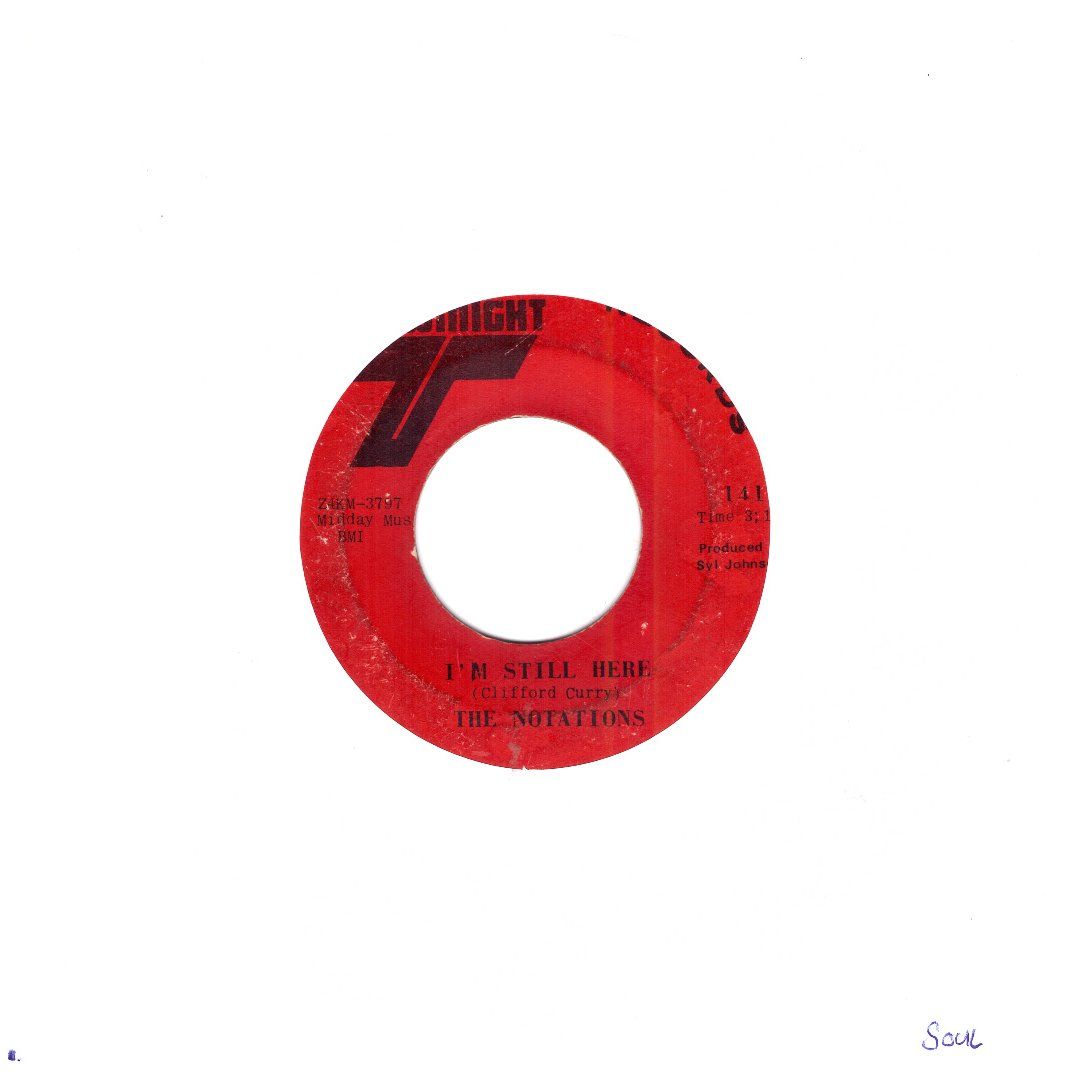 Dischi in vinile: THE NOTATIONS – Usato da Bassersdorf venduto da house-of-vinyl