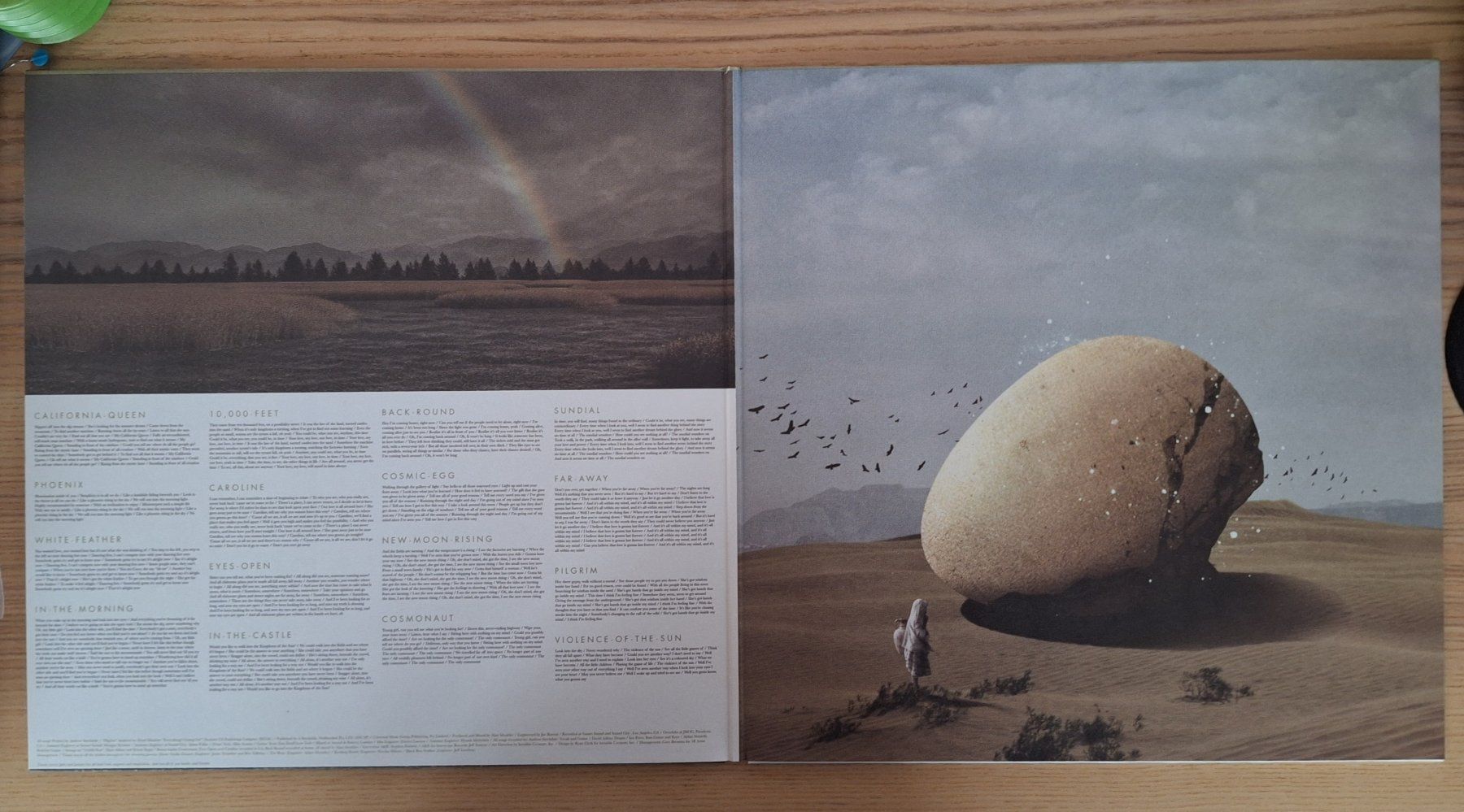 Dischi in vinile: Wolfmother - Cosmic Egg Vinyl 2009 – Usato da Mühlethurnen venduto da Landhockeyelvis 3