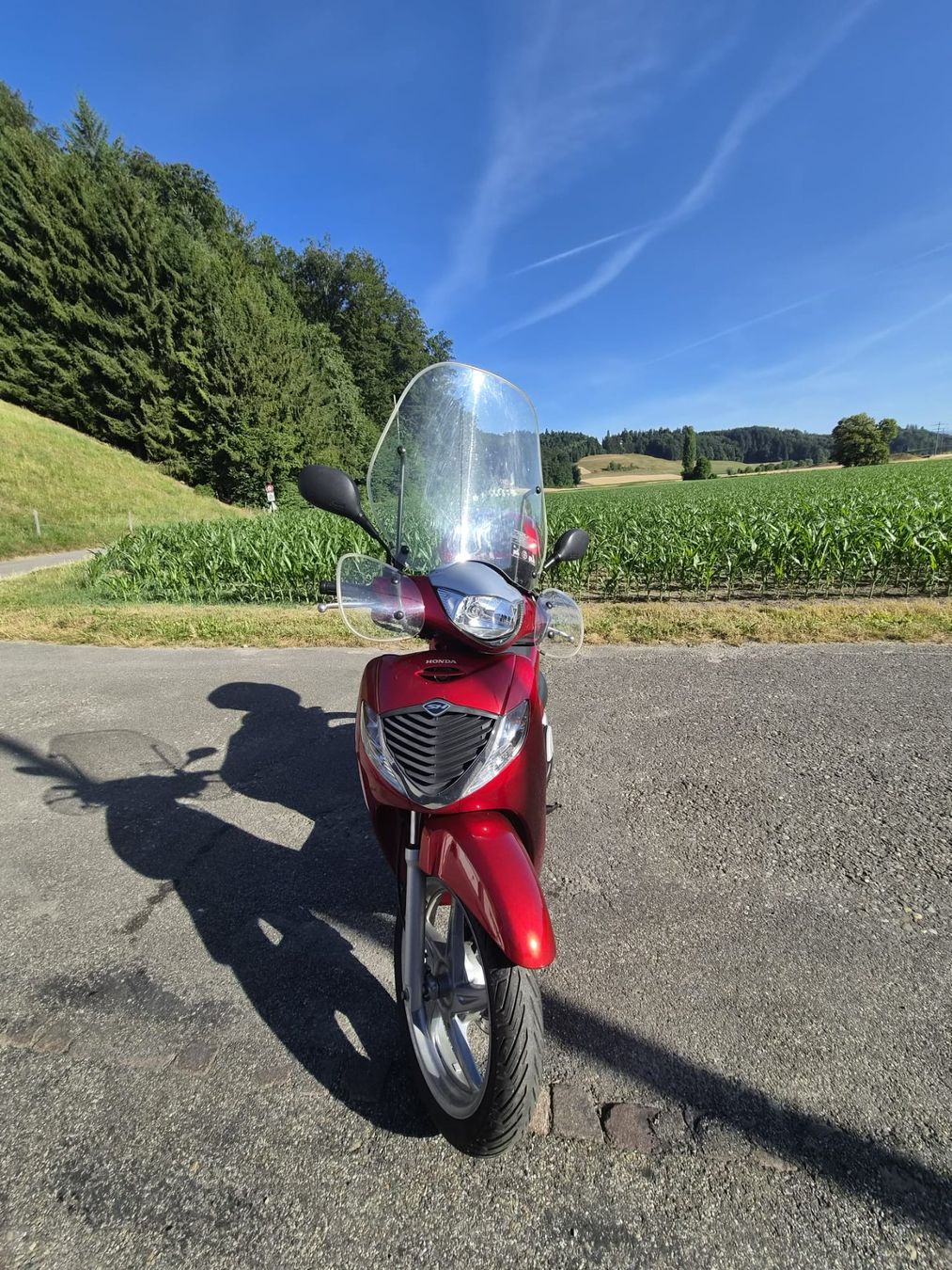 Honda Scooter: Honda SH125 – Usato da Riedtwil venduto da molerie 2